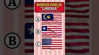 GUESS THE FLAG QUIZ 27 #quiz #flag #challenge