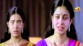 dammu new sentiment trailer   jr NTR trisha karthika