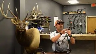 Prime Centergy Bow Review