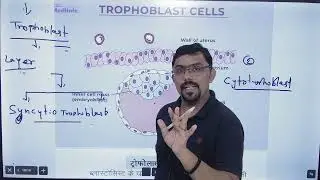 Trophoblast