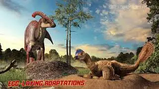 Top 10 interesting facts about dinosaur eggs | Dinosaurs Eggs | Little Dinosaur Explores