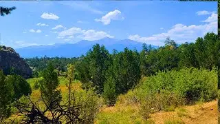 Fourmile Trail 1415 | Hiking with Dogs in Colorado