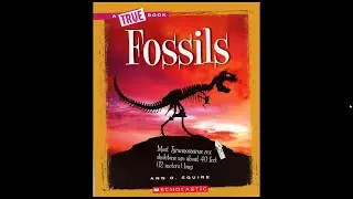 Fossils
