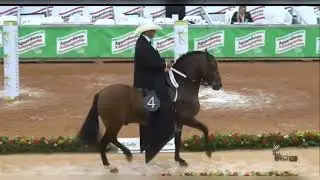 Las mejores ferias equinas 