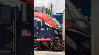 Amtrak ALC-42 VS Tree