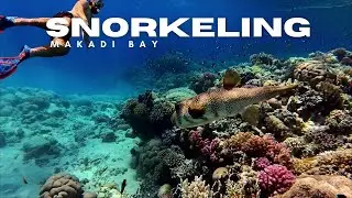 Entdeckungstour durch die Makadi Bay! Schnorcheln zwischen Grand Makadi bis Waterworld. Folge 3 🤿🐠🐡