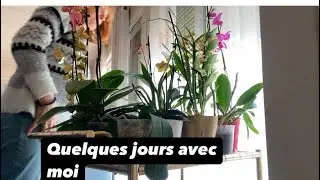Semaine, arrosage, recette d&eacute;licieuse plantes, macram&eacute;, botanic, #plants #epiphyllum #deco