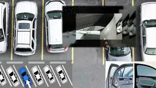 Car Door Guards - DentGoalie Door-Ding Protection