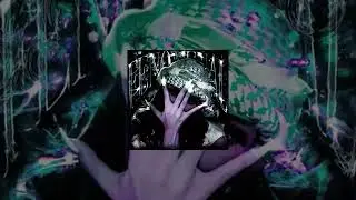 FENOMENAL (speed up)