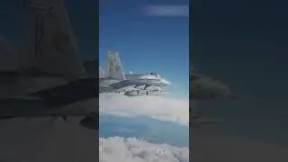 Incredible Fighter Jet Flyover the Ocean! 🌊✈️ #airshow #sunsetflyover