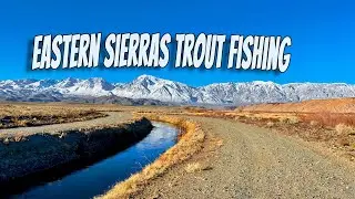 Eastern Sierras: Hot Creek & Bishop Canal Fishing
