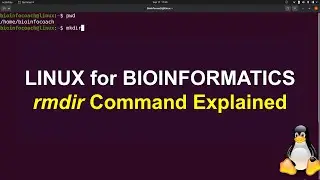 rmdir command Explained in Linux for  Bioinformatics