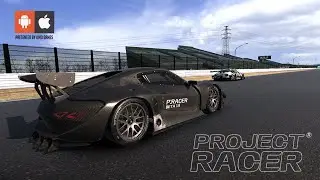 This Project Racer Android Gameplay is AMAZING!