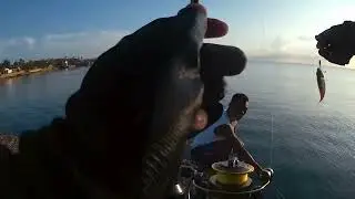 EP44 | ARGAO PIER FISHING | RAW VIDEO | #AjingFishing #ArgaoPier #ULgaming