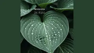 Leaflight