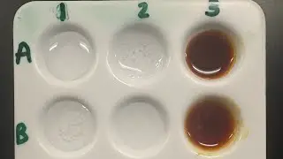 Mystery Powders: Physical & Chemical Properties