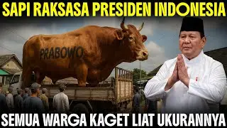 SAPI KURBAN PRABOWO TIBA, WARGA SYOK UKURANNYA SEGEDE GABAN! Deretan Sapi Kurban Presiden Idul Adha