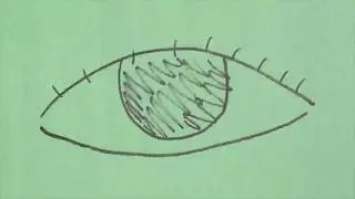 Living with Dyslexia - A Stopmotion Animation
