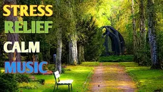 Relaxing Piano music /Deep Sleep music/ Meditation Music for Focus and Concentration/ Study focus /