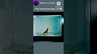 #funny #memes #aivideo