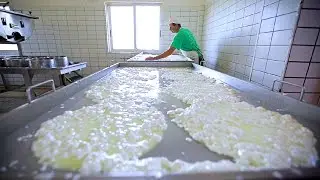 A Look INSIDE An Authentic Greek Cheese Factory