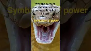 Why the serpent was used the most pt 2 #shortsfeed #ancient #serpent #simulation