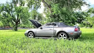 Will This Abandoned 2004 Mustang GT Run And Drive?