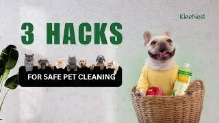 Pet Mess? No Stress! 🐾 | Safe, Natural & DIY Cleaning Hacks Every Pet Parent Needs!