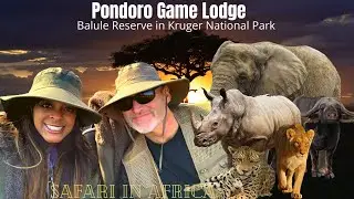 Safari in Africa at the Pondoro Game Lodge Balule Reserve in Kruger National Park