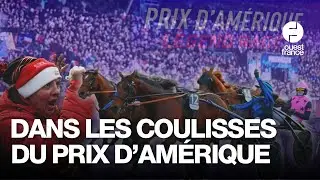 Écuries, Gims, grands parieurs... Dans les coulisses du Prix d'Amérique, heure par heure