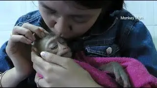 Baby Mori Being Get Good Care And Grooming From Mom After To Bed