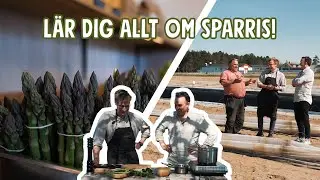 Bästa försommar-rätten med sparris! | Ett Gott Land