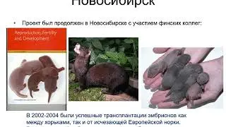 С. Я. Амстиславский