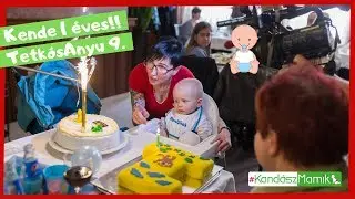 Nem akart anya lenni, mégis boldog! Kende 1 éves már!! #TetkósAnyu 9. | #KandászMamik 156.