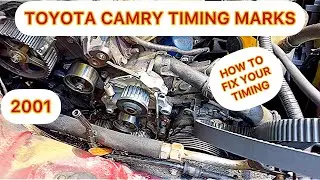 Как выставить метки ГРМ на Toyota Camry Le 2001 года выпуска