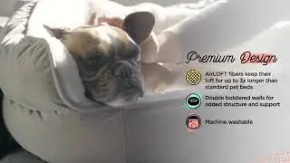 BFBS Pet Throne Bed Feature Final