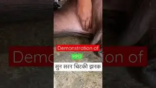 Demonstration of MPD l Dr Umar khan