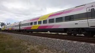 [FHD]  BLF 604 #106 BRIGHTLINE BRIGHT PINK  (SCB-40) @ 2:55 PM 2019