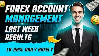 Best Forex Trading Account Management Services | Forex Account Management For Beginners MFC Insider