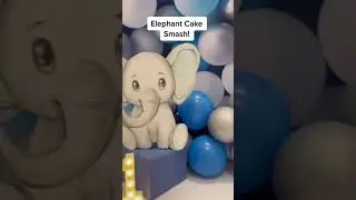 Elephant Themed Cake Smash: Behind the Scenes