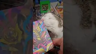 Promo Showcase ep14: THE OTHER BINDER!! #pokemonpromo #pokefam #pokebonding #pokemoncards #kitty