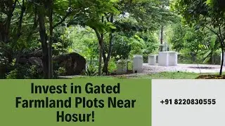 holiday valley farms hosur - holiday valley farm - holiday valley farm land @ +