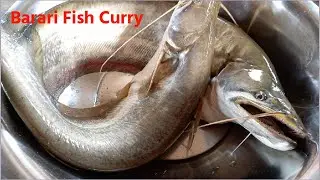 Barari fish curry//Big fish curry#Indian_style_fish_curry
