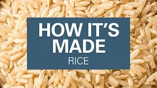 How Rice is Made | What Are The Types of Rice?