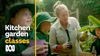Margaret River kitchen garden&nbsp;students cultivate food from paddock to plate | ABC Australia
