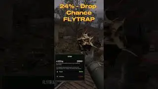 FLYTRAP Anomaly 
