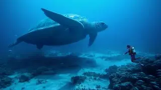 Deep Ocean Ambience | Underwater Soundscape for Focus, Relaxation & Sleep