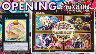 YuGiOh Magnificent Mavens Opening #6