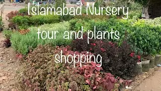Islamabad Nursery Tour and plant shopping
