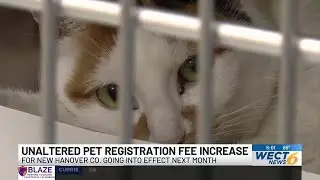 Unaltered pet registration fee increase for New Hanover Co. going into effect next month